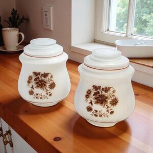 Pair Vintage Kichler Frosted Glass Lamp Shades Brown Floral Ceiling Covers